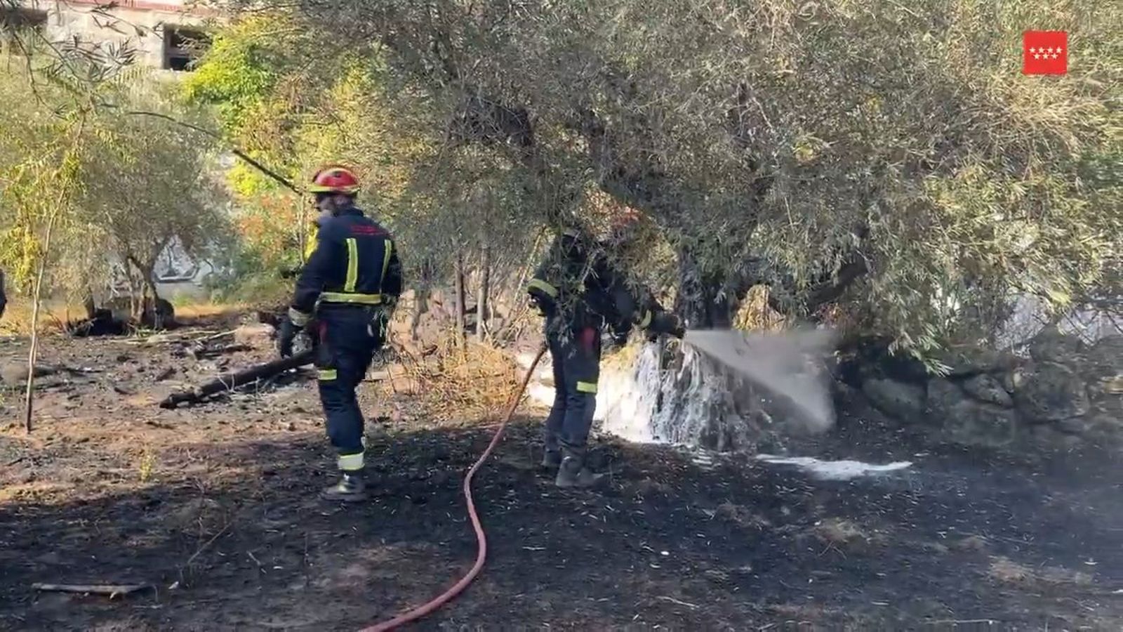 Controlan un incendio en San Martín de Valdeiglesias y frenan su propagación a una zona industrial