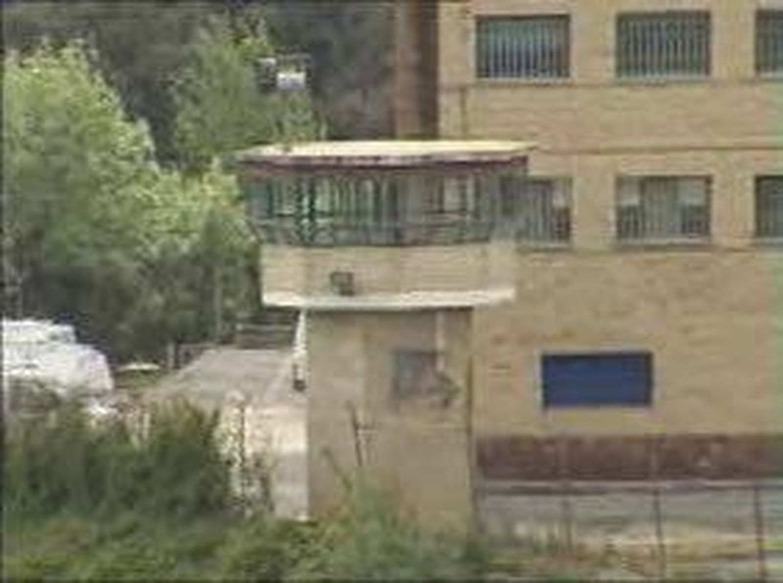 cartabuena_201084V0.wmv