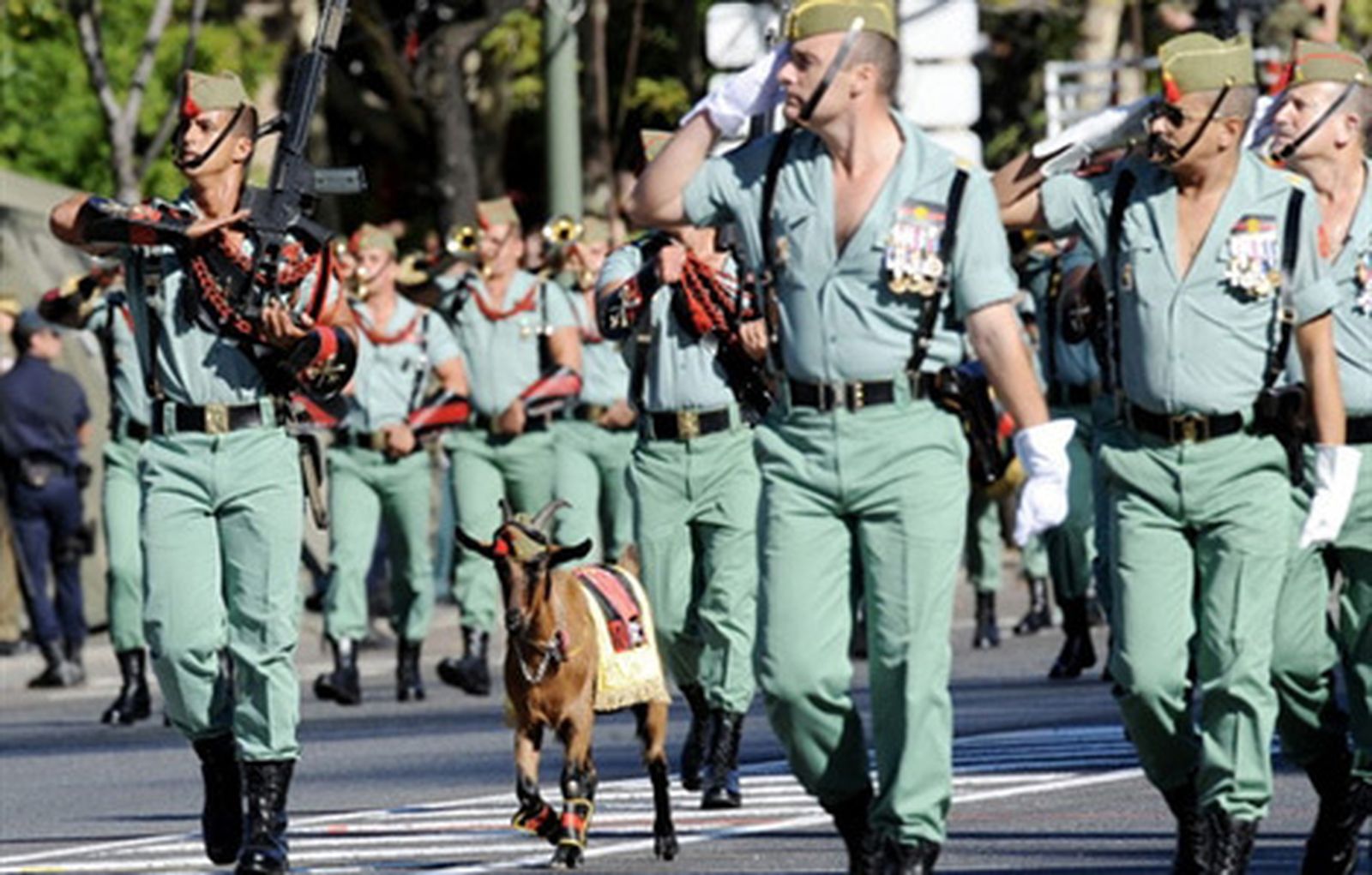 Carrusel Desfile Día Fuerzas Armadas