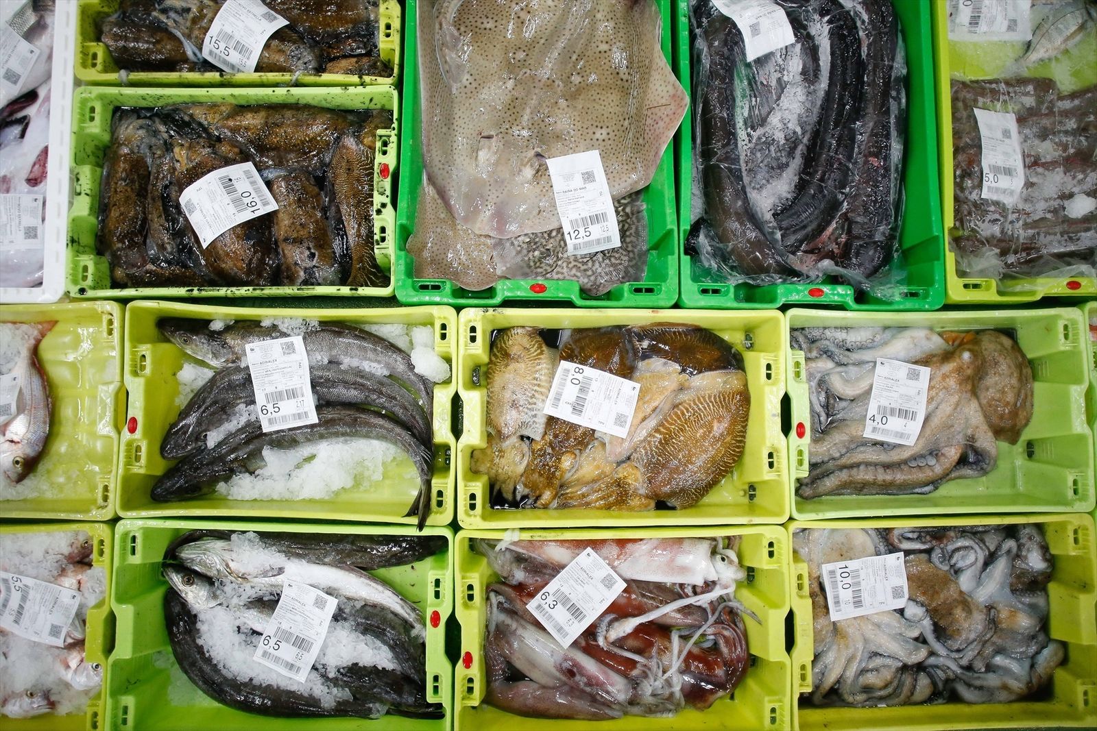 Cajas con pescado en la lonja de Burela (Lugo)
