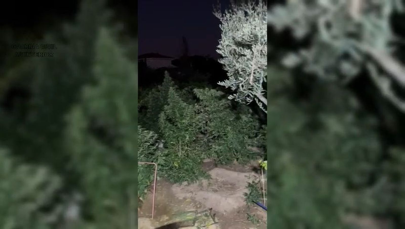 Operación Guardia Civil en Valdetorres del Jarama