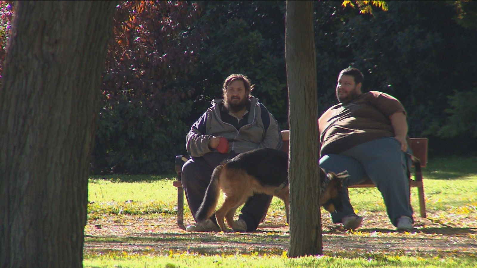 El 80% de los hombres españoles tendrá obesidad o sobrepeso en el año 2030