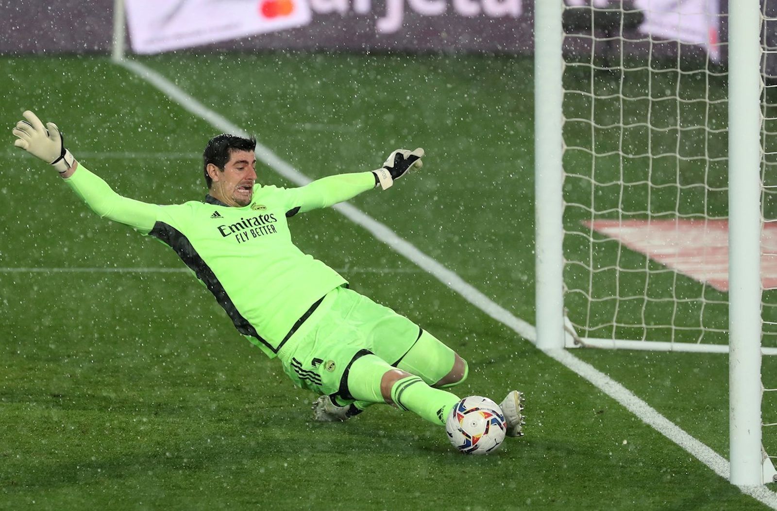 Courtois