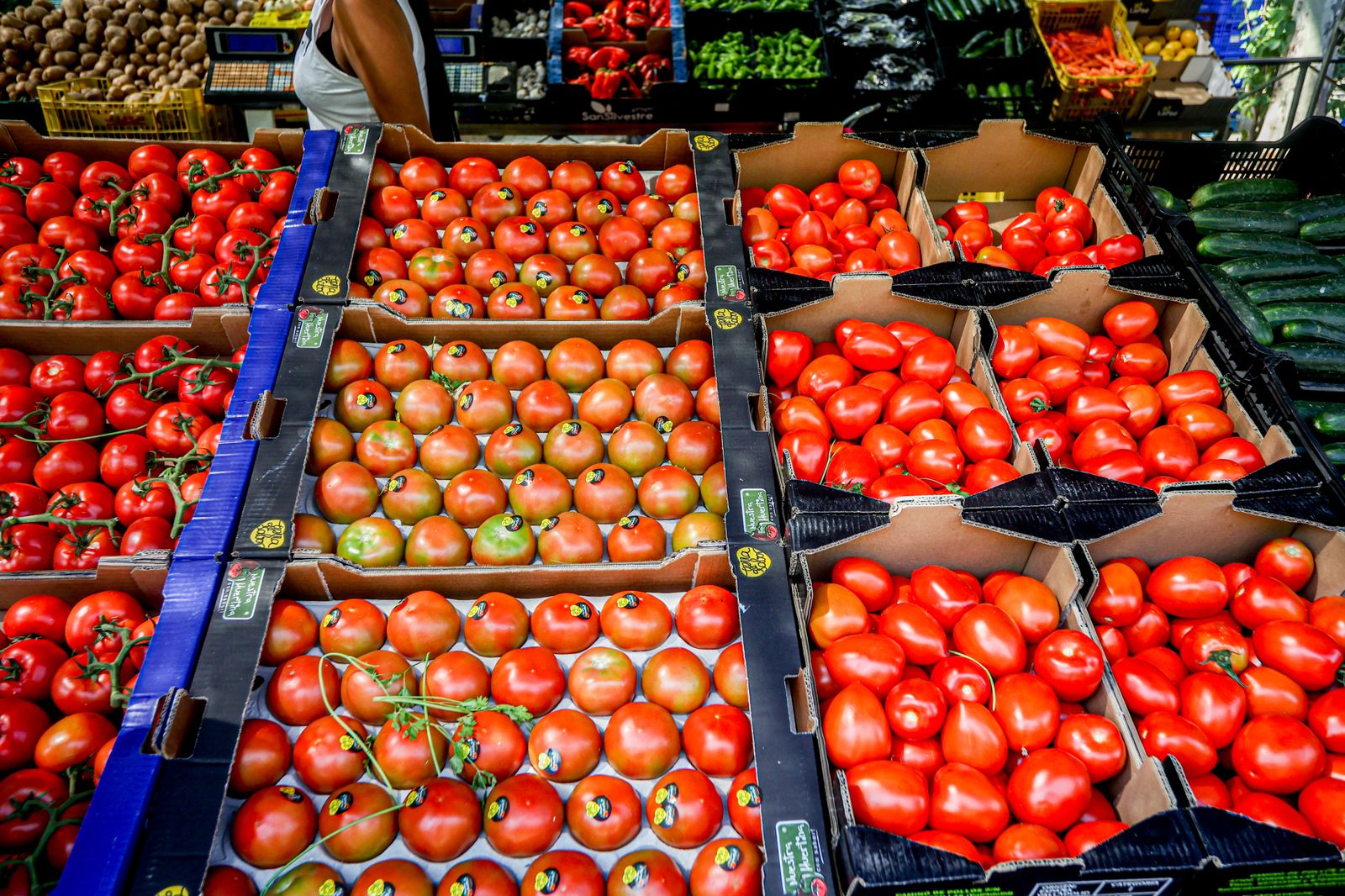 Tomates en un mercadillo