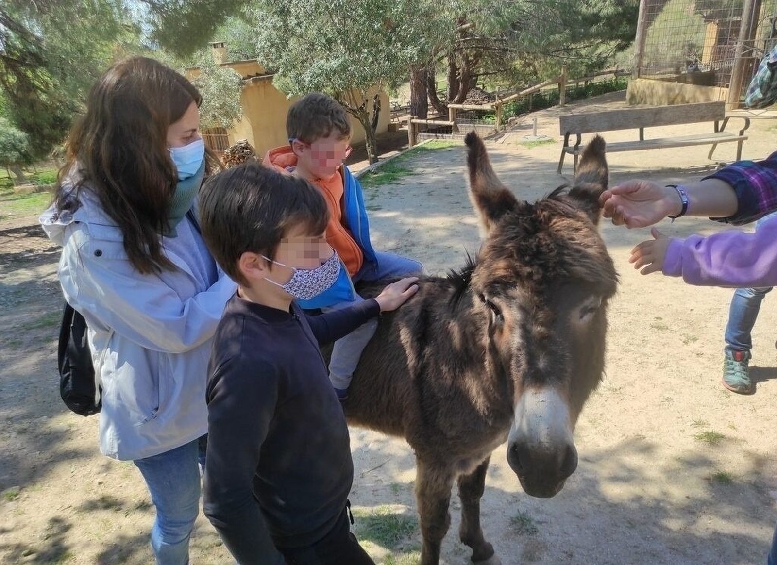 Paseando en burro