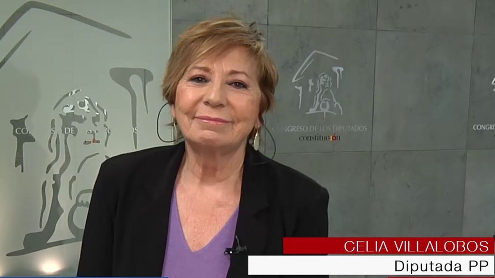 Celia Villalobos: “Me hubiese gustado terminar mi carrera con un acuerdo en el Pacto de Toledo”