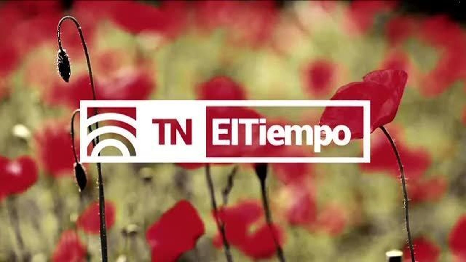 El Tiempo 2 13.11.2017