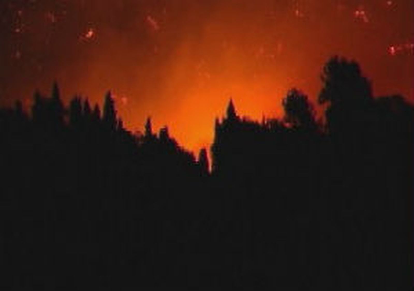 Unas mil personas tienen que ser evacuadas por un incendio  declarado en Ibiza