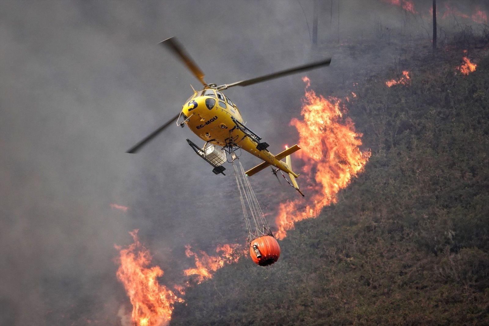 En 2023 ardieron en España 90.000 hectáreas con menos incendios pero más virulentos