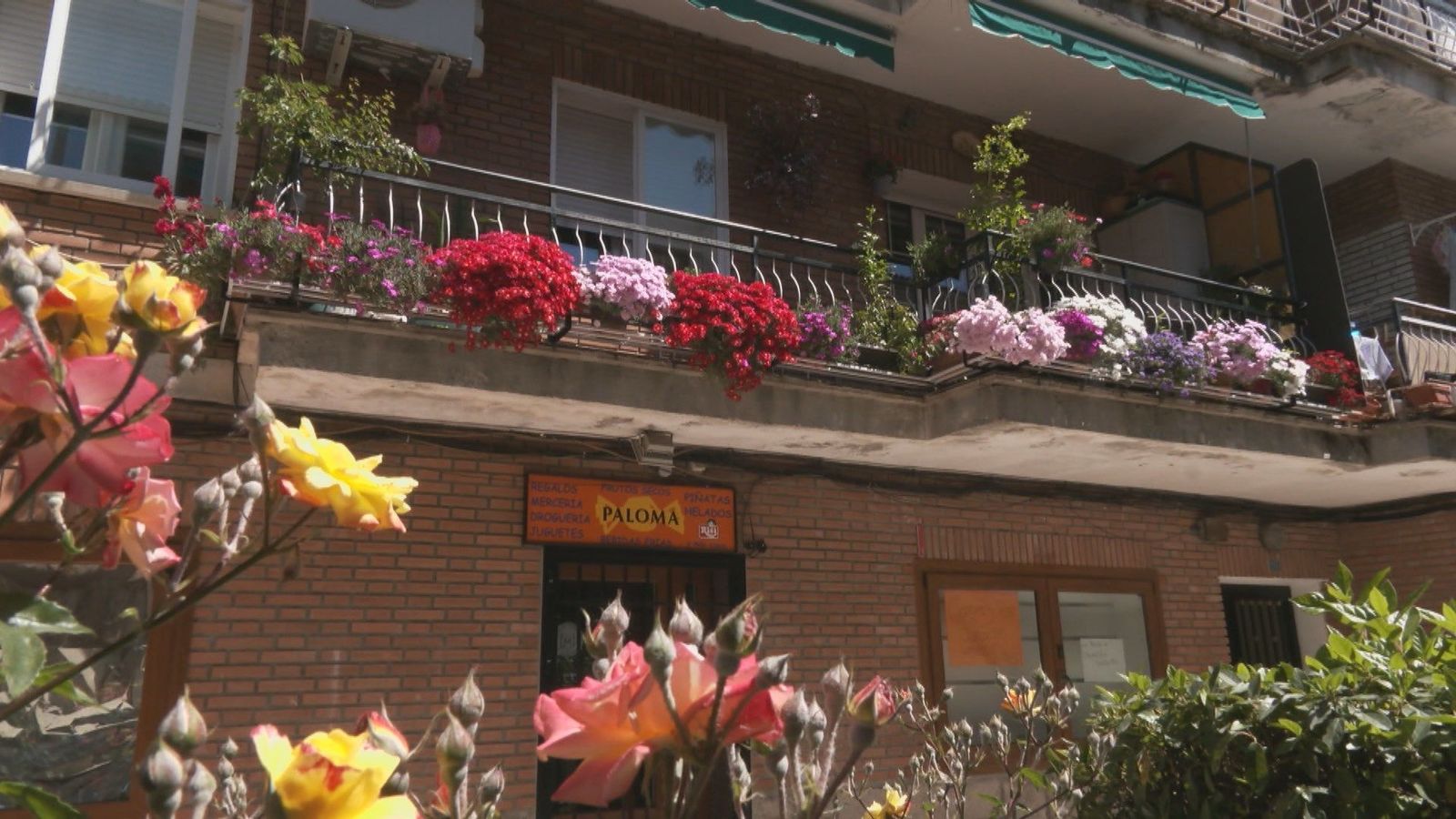 Manzanares El Real busca el balcón y el jardín más bonitos del municipio entre flores, rosales y mucha dedicación