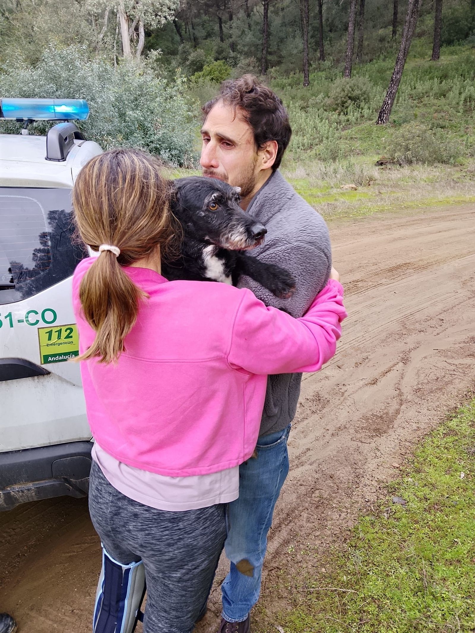 Boro, el perro extraviado tras el choque ferroviario en Adamuz, tras ser rescatado