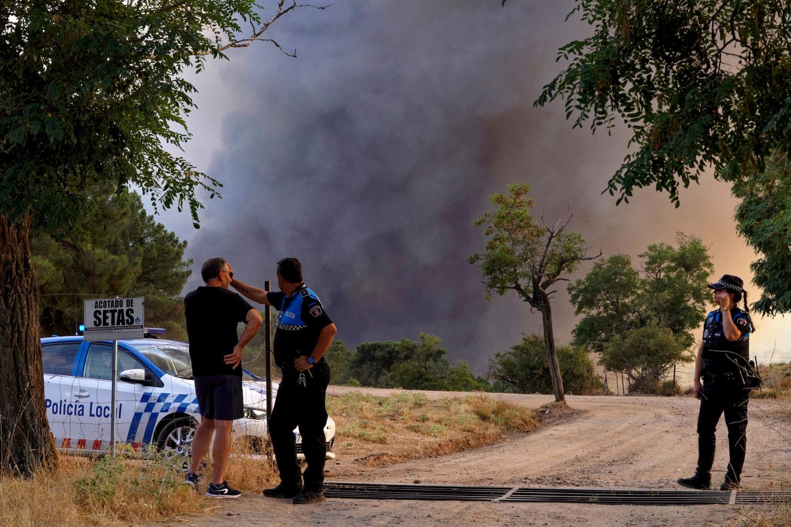 Incendio en las proximidades de Las Navas del Marqués (Ávila)