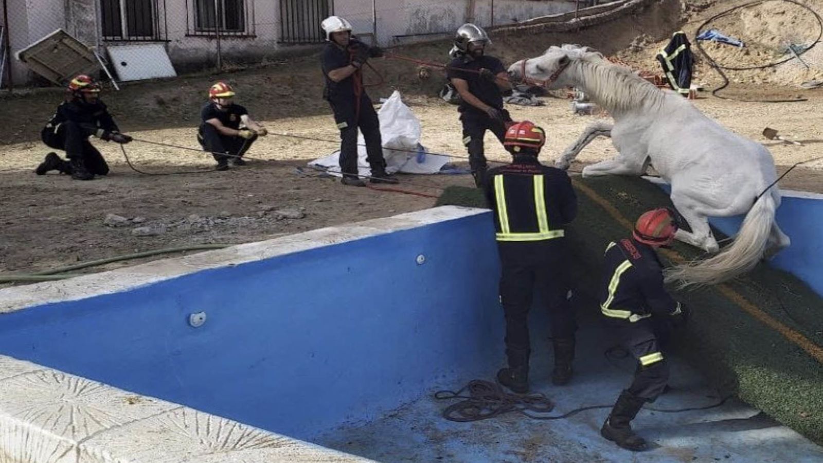 Rescate del caballo