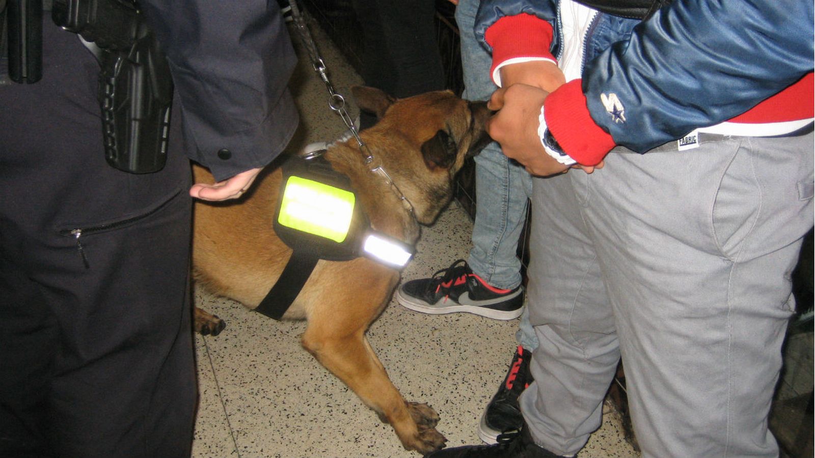 Unidad canina de San Sebastián de los Reyes