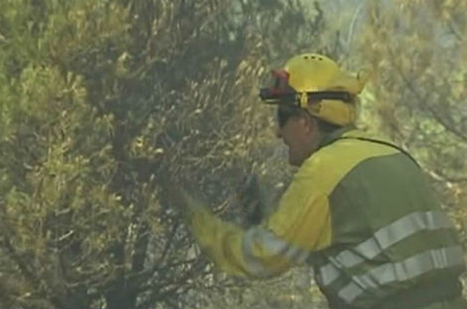 Carru incendio Almorox