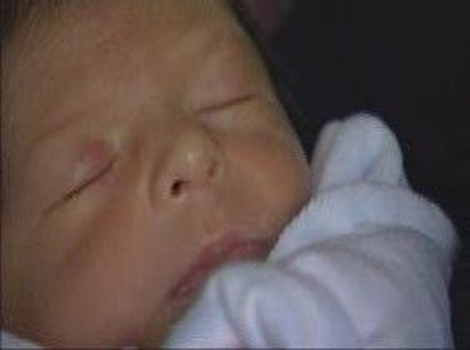 Bebe_20101024V0.wmv