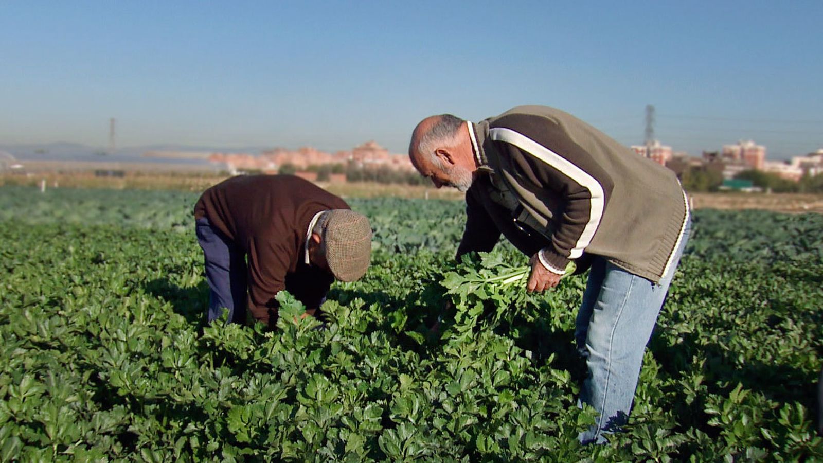 Agricultores de Madrid