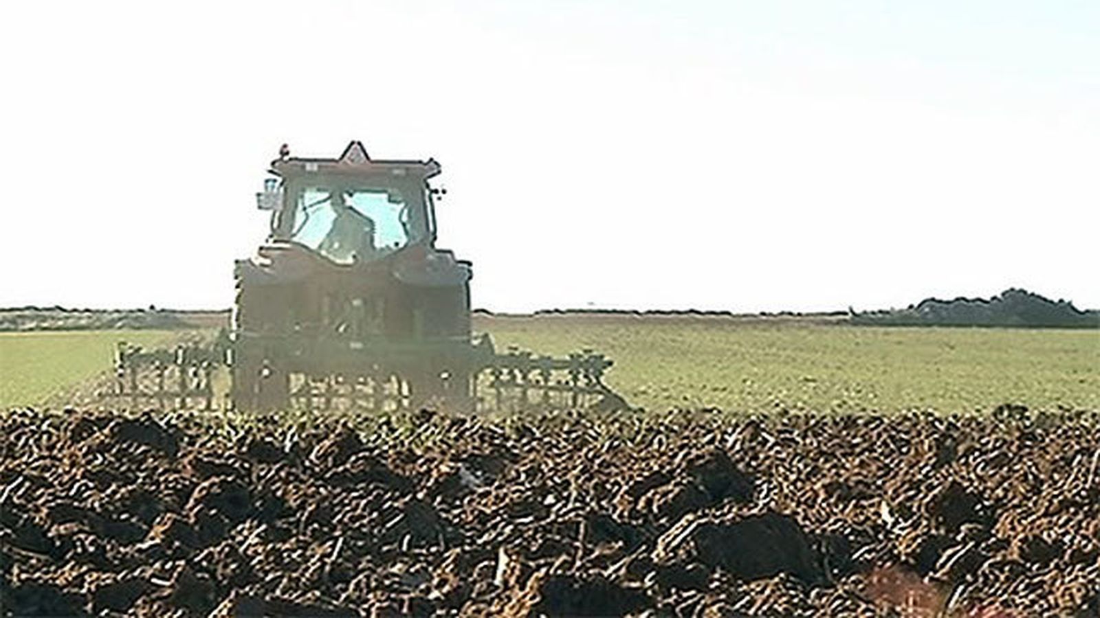 La Comunidad concederá ayudas este año para impulsar y promocionar la actividad agraria en la región