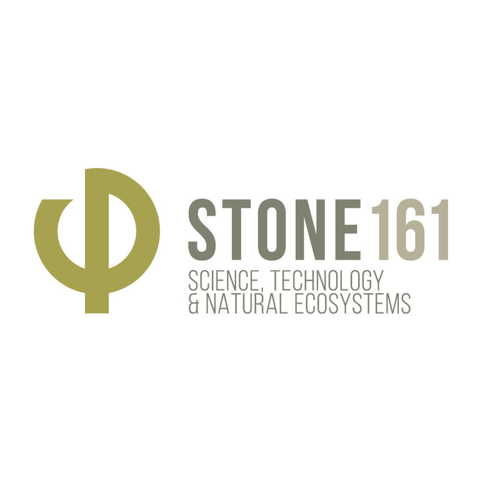 Stone 161