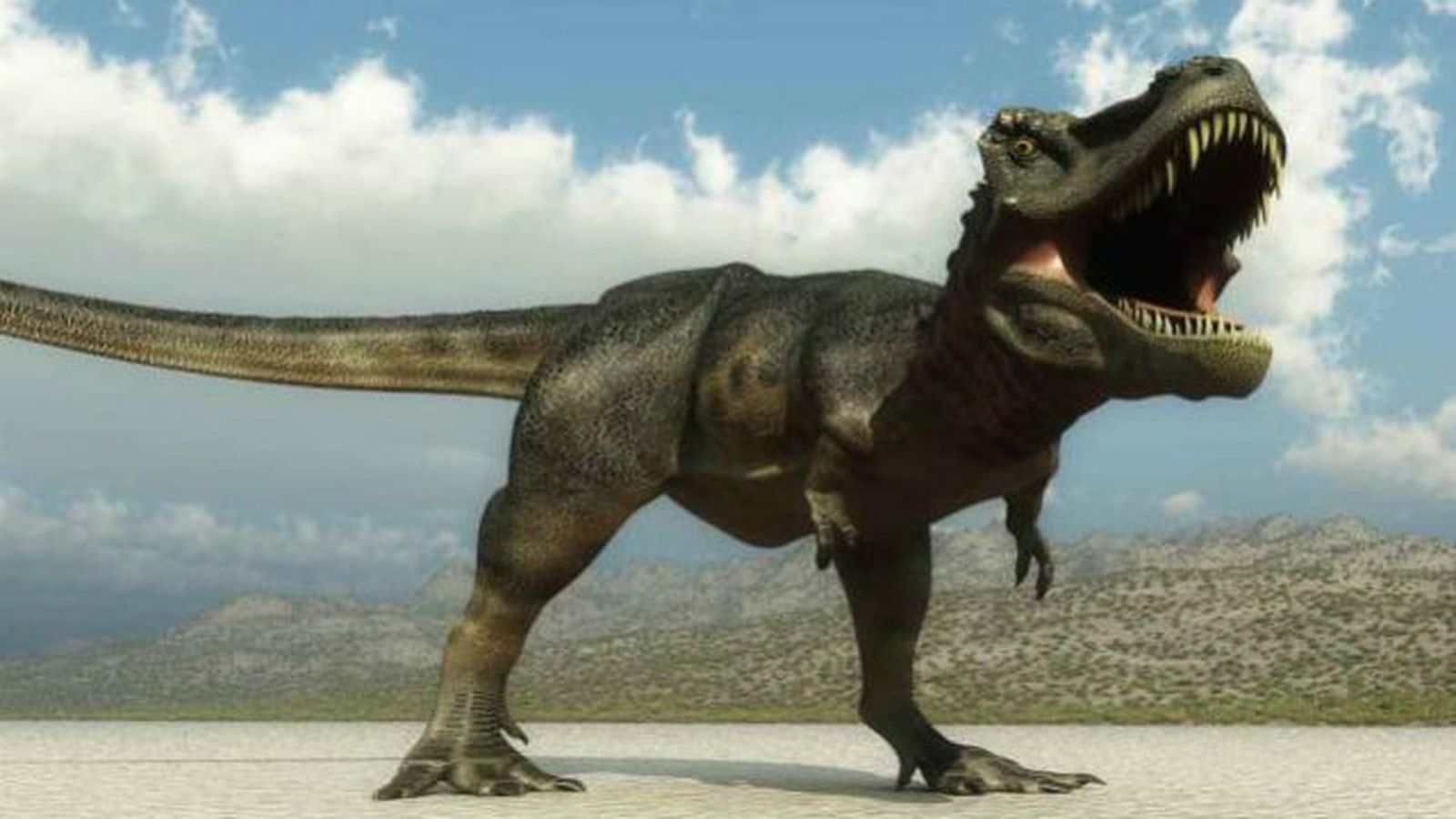 Dinosaurs Tour, una exposición itinerante sobre dinosaurios