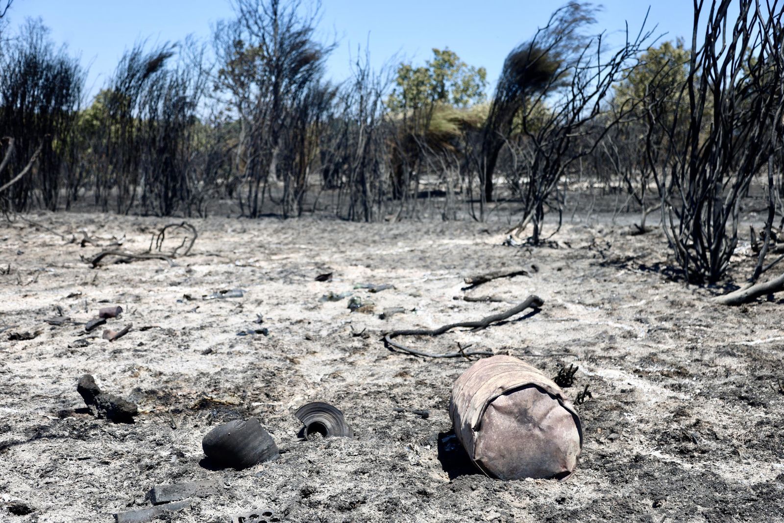 Terreno forestal tras el incendio del 22 de julio de 2026 en el municipio de Rábano de Aliste (Zamora)