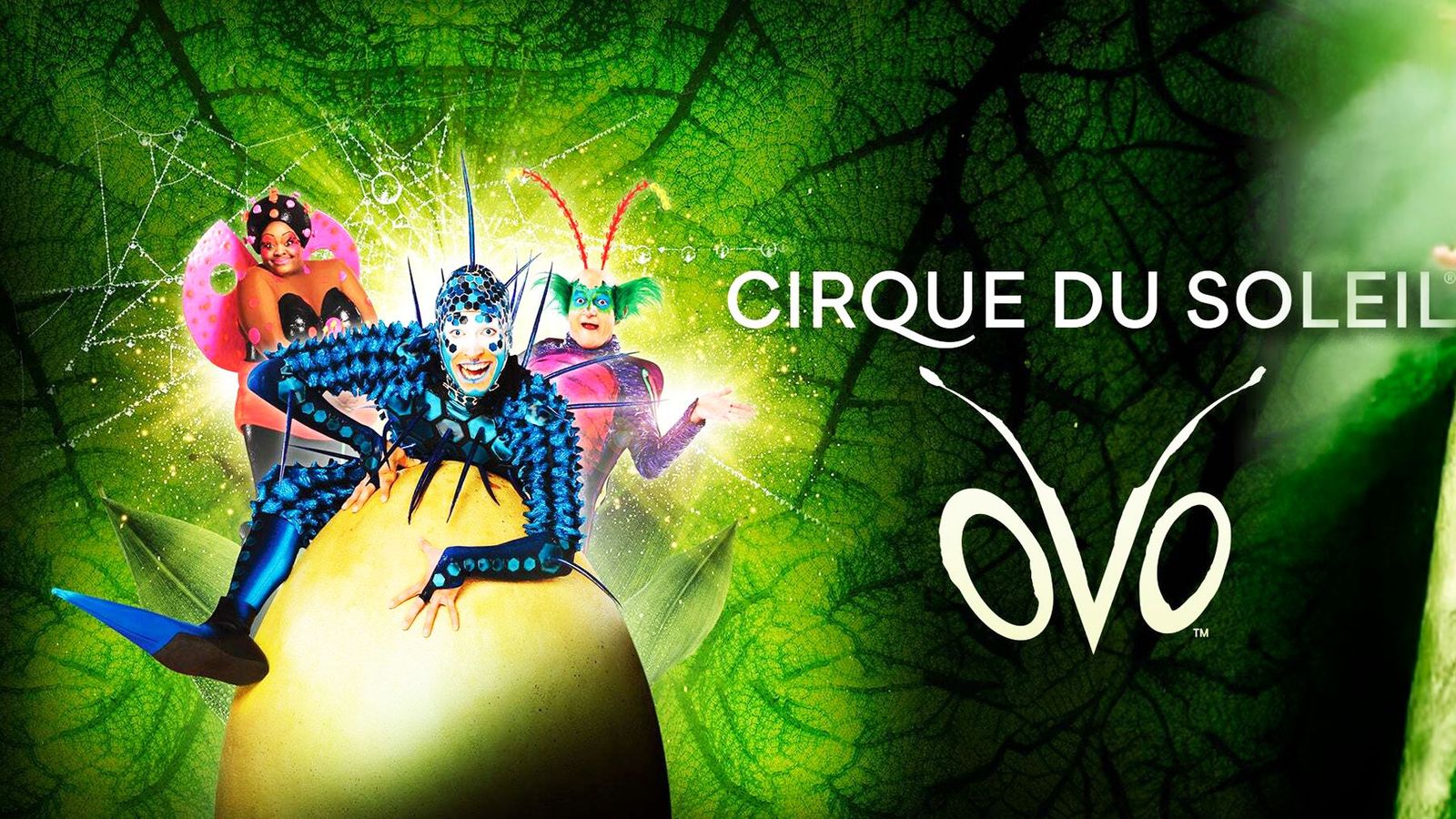 El Circo del Sol estrena en Madrid 'Ovo'