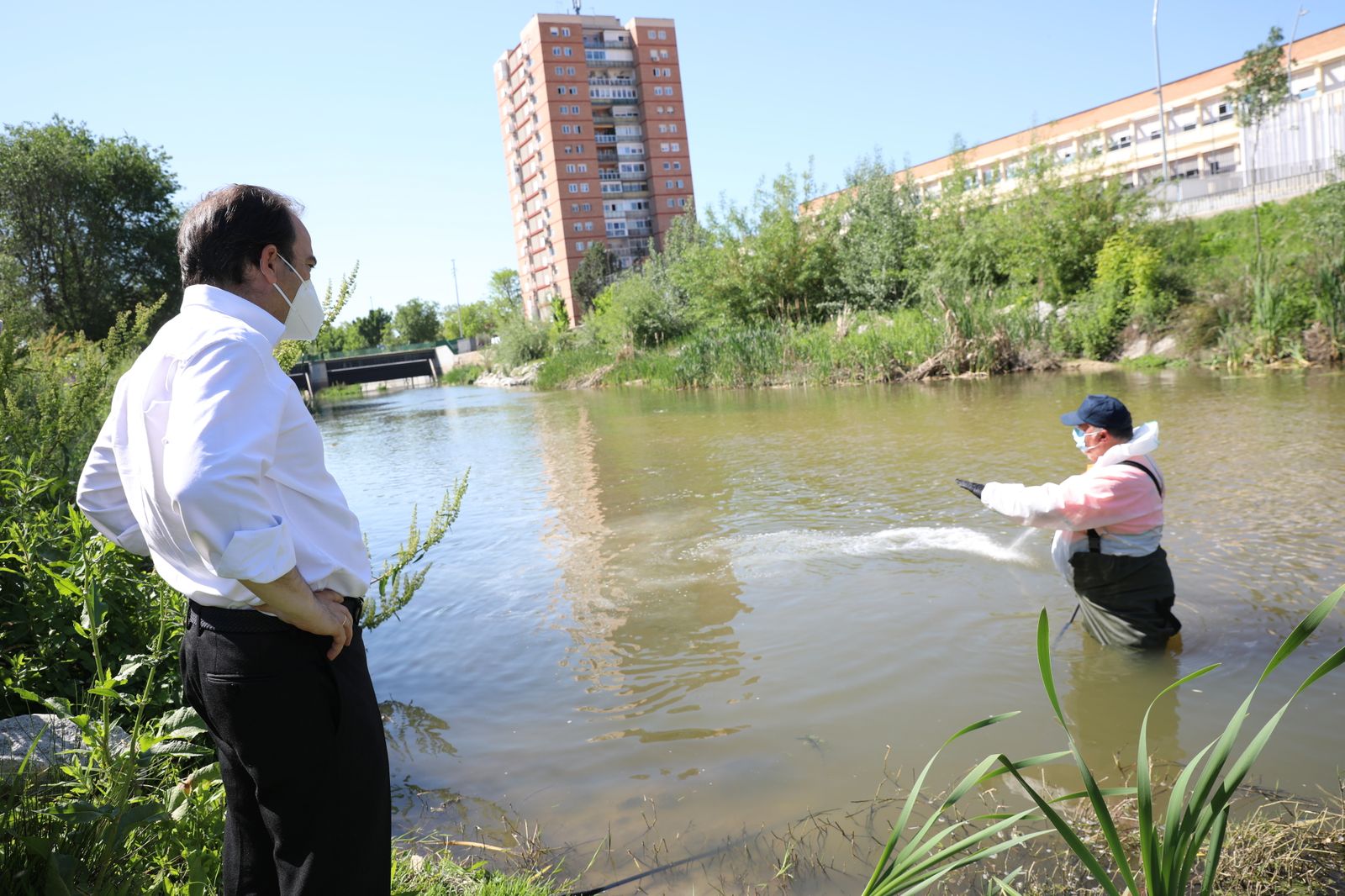El delegado de Medio Ambiente, Borja Carabante, supervisa las tareas de fumigación, este viernes