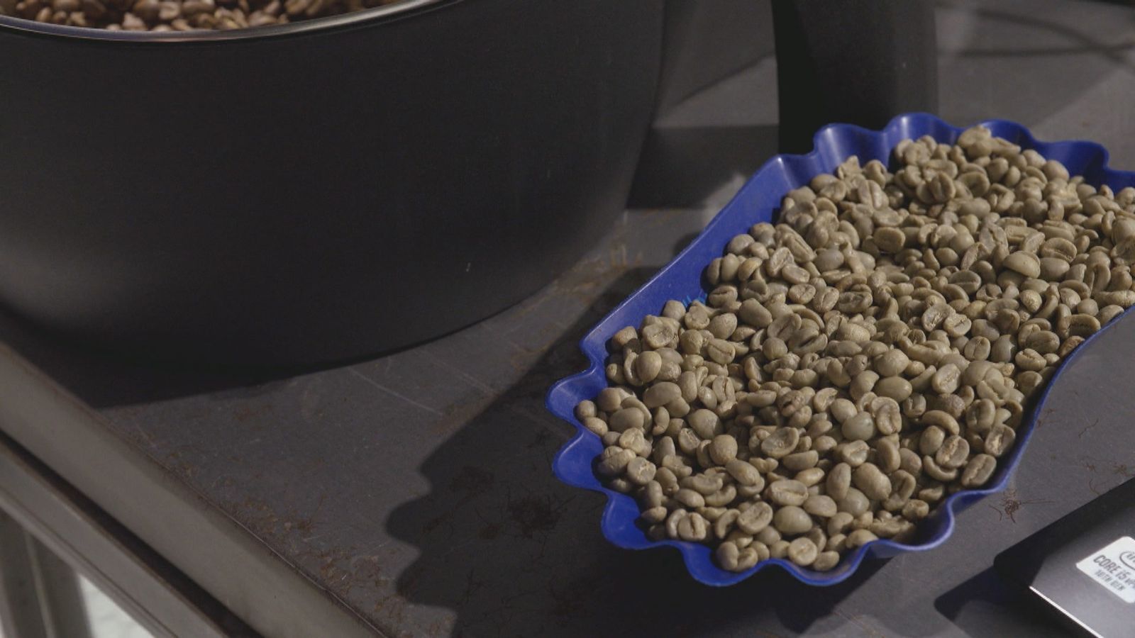Grano de café sin tostar