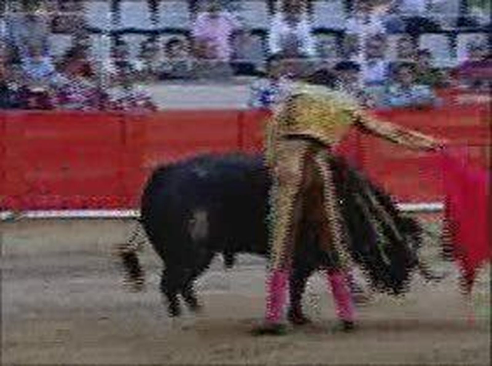 recursostoros_2010728V0.wmv