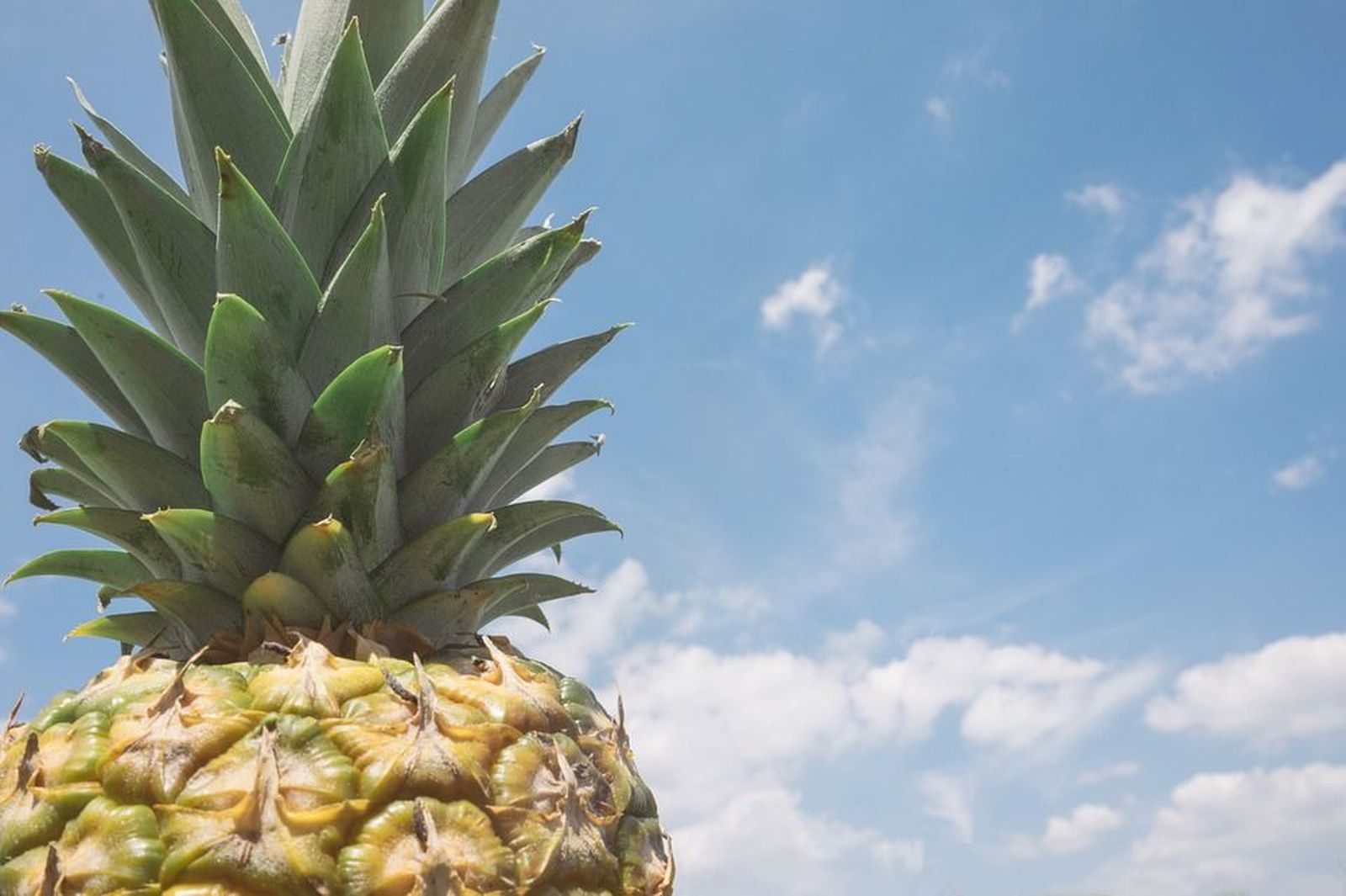 Adelgazar en verano, ¡sin dietas!