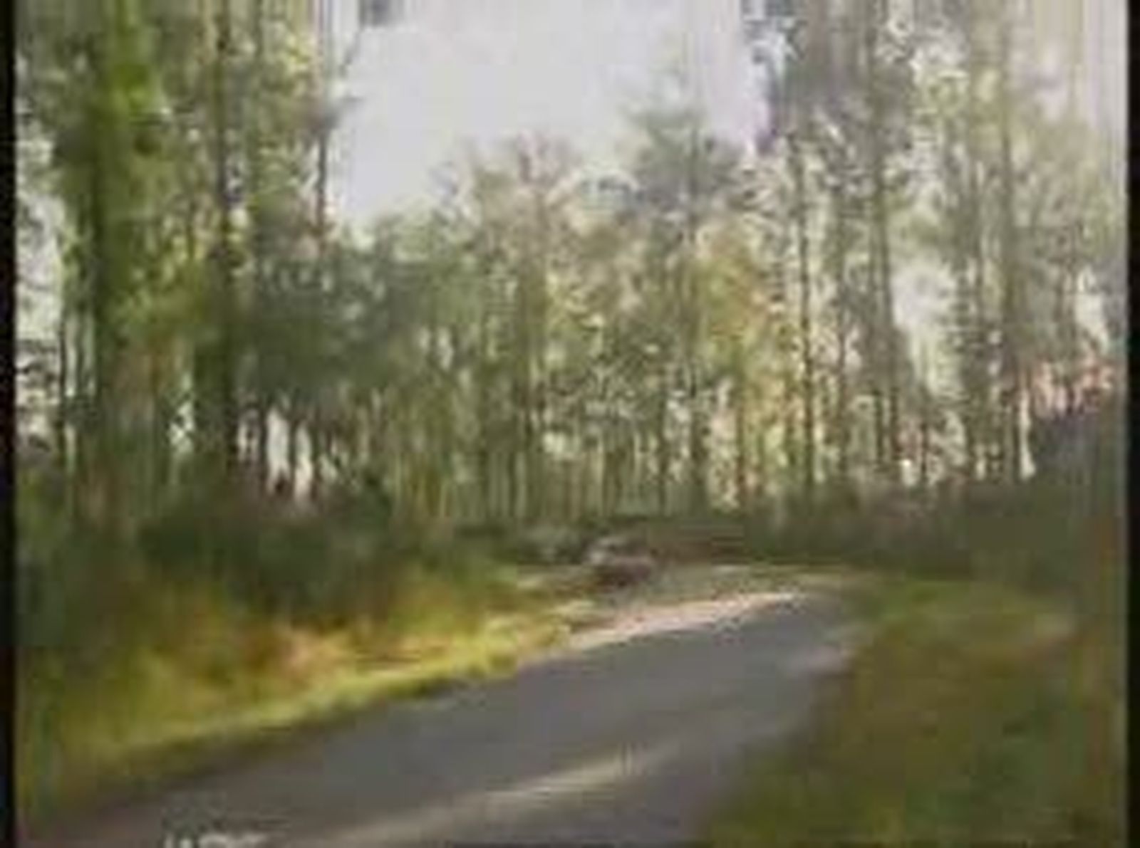 Rally_20101021V0.wmv