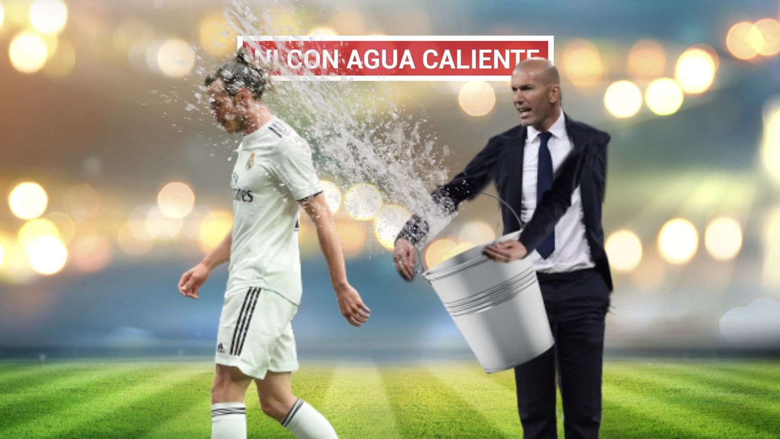 Bale se planta