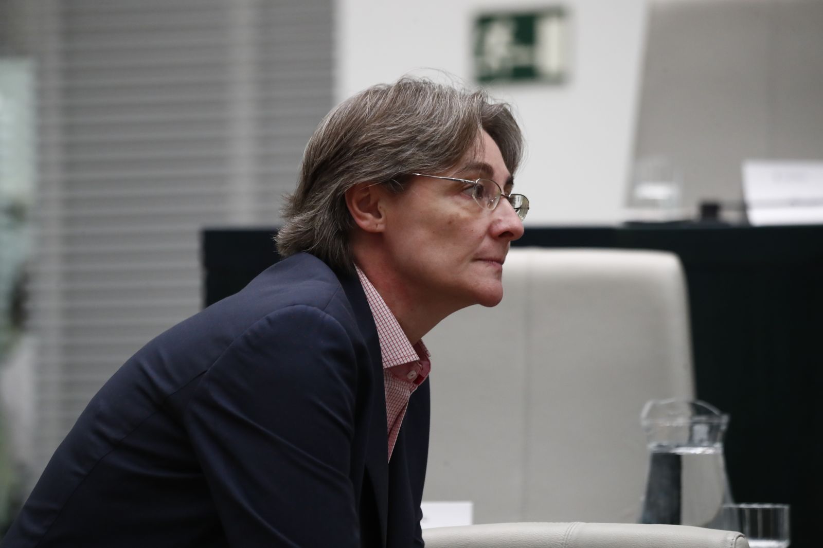 La concejal del Grupo Mixto, Marta Higueras