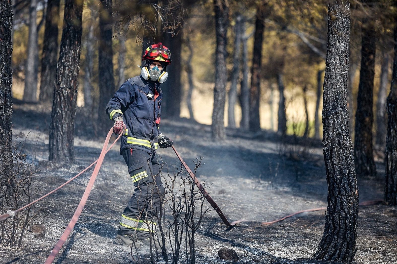 La mayoría de los incendios forestales en Madrid en este 2026 se quedan en conatos