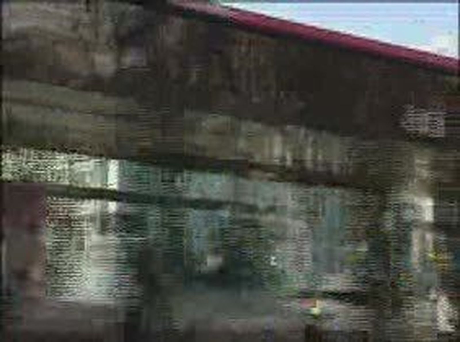 dondedije_web_2011221V0.wmv