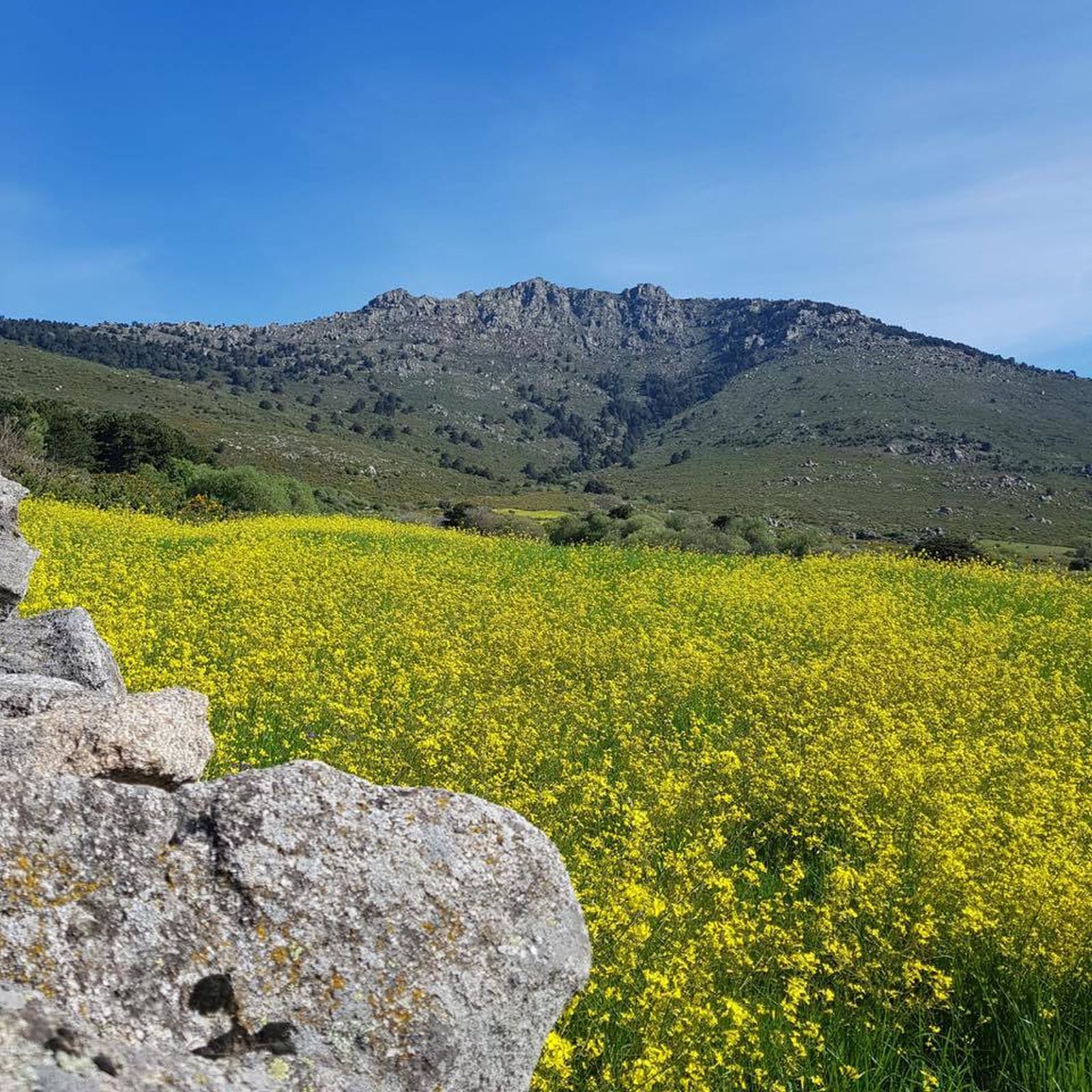 Vista del pico de La Peñota desde Los Molinos