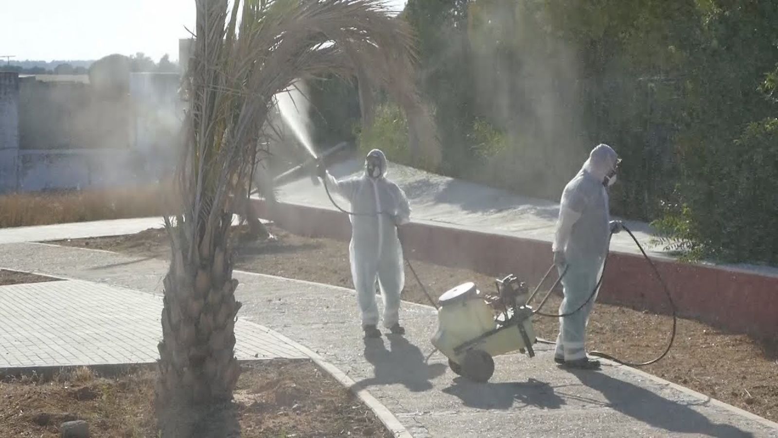 Fumigación en Coria del Río (Sevilla) para frenar la plaga de mosquitos que transmiten el virus del Nilo