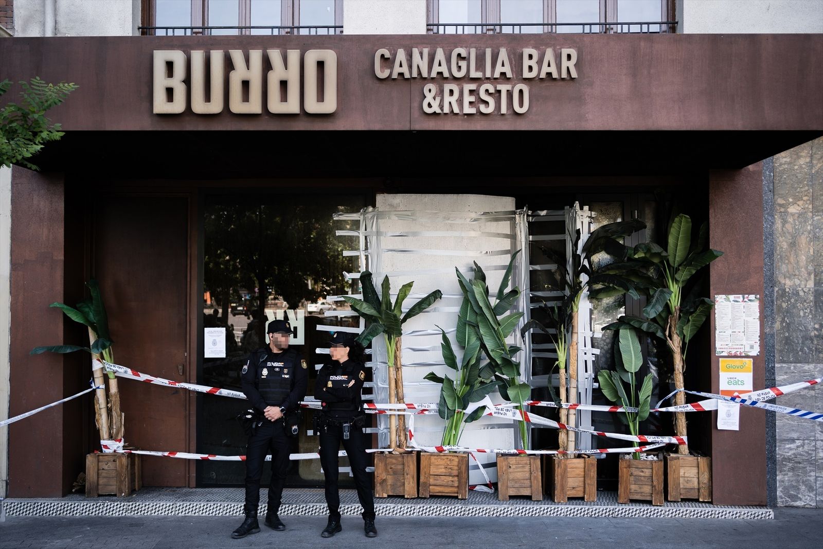 Burro Canaglia