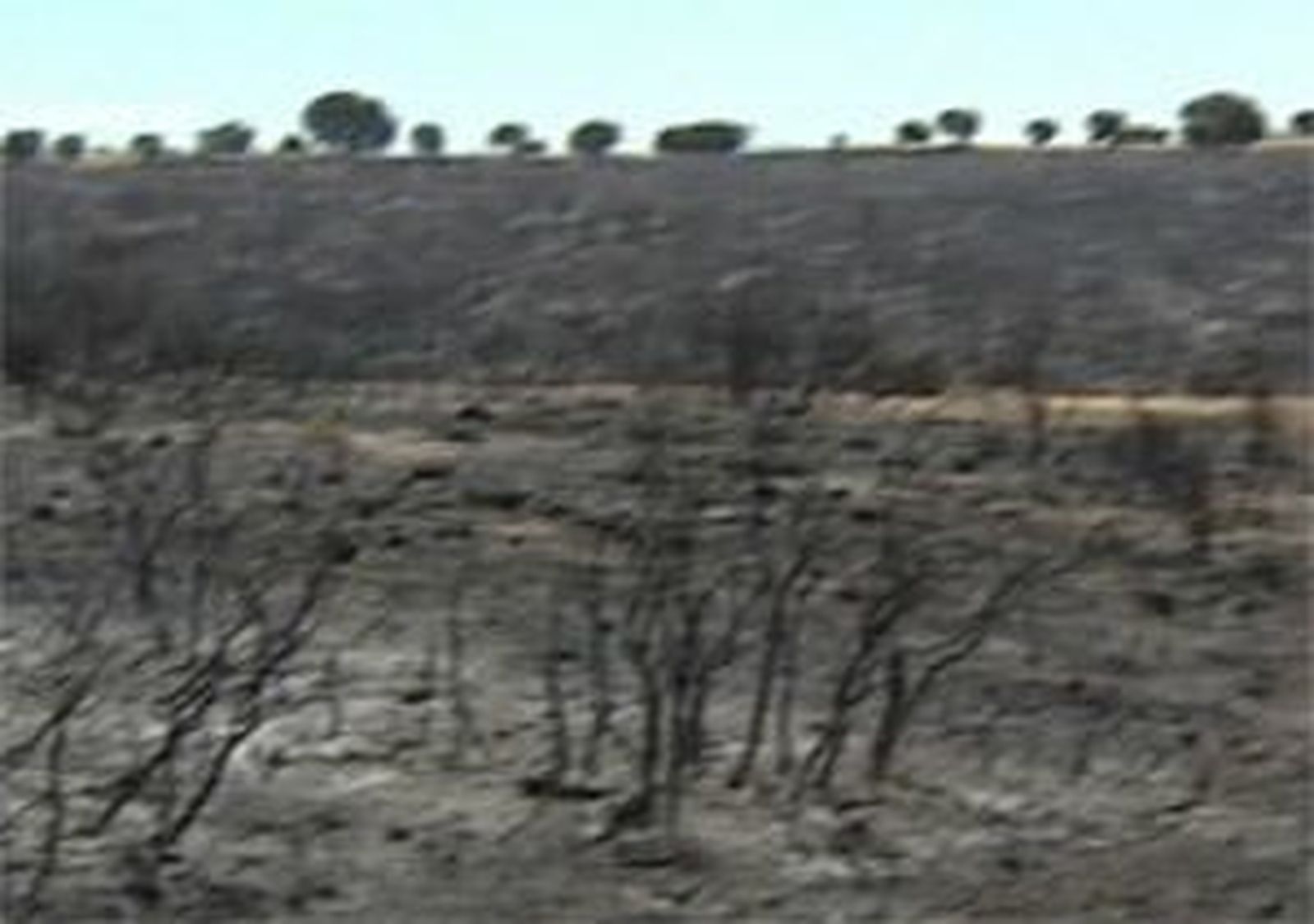 Controlado el incendio de Campo Real