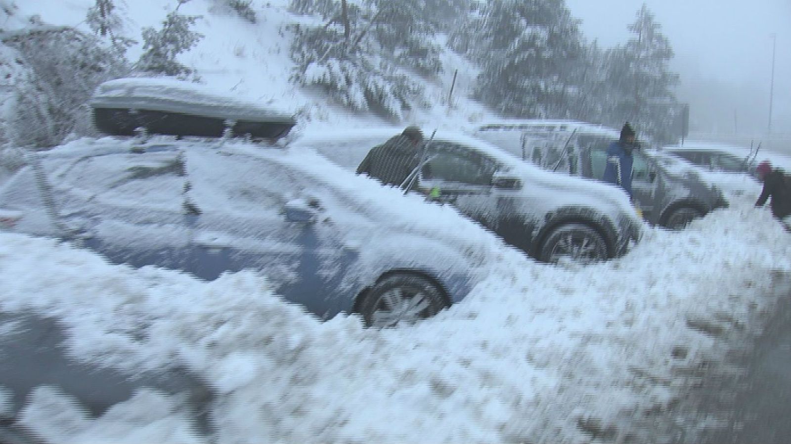 Primera gran nevada de la temporada en Navacerrada