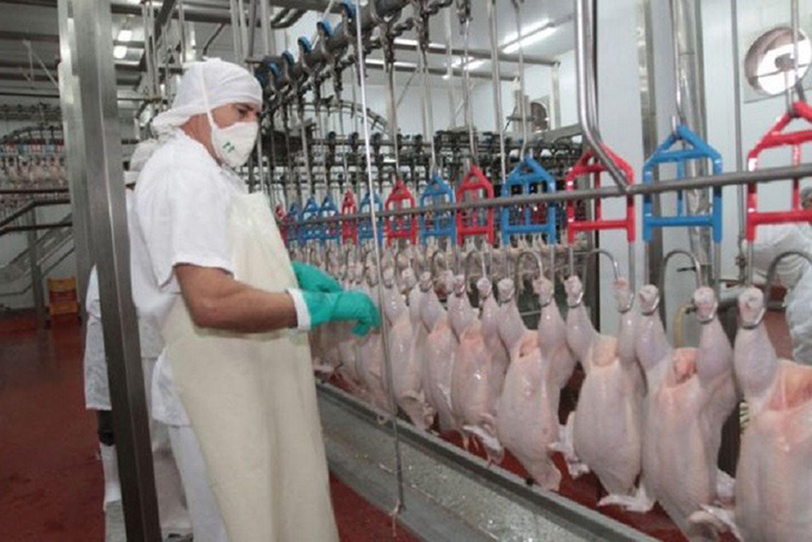 Matadero de pollos