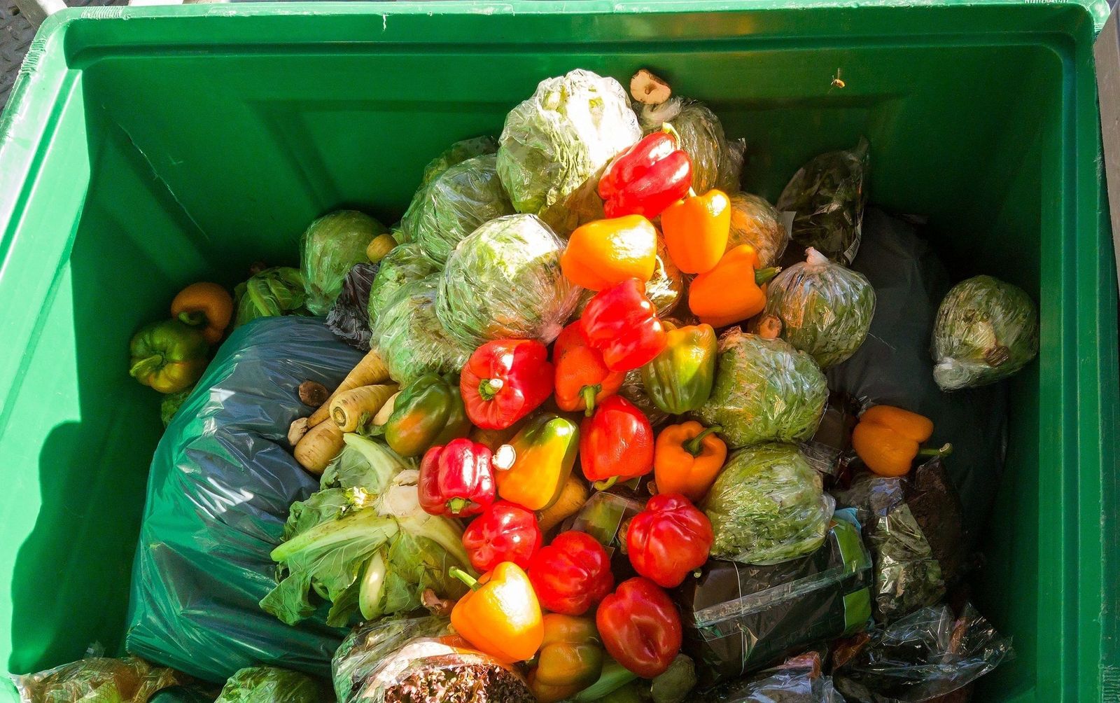 Nueva ley con multas de hasta 60.000 euros a bares y supermercados por tirar comida