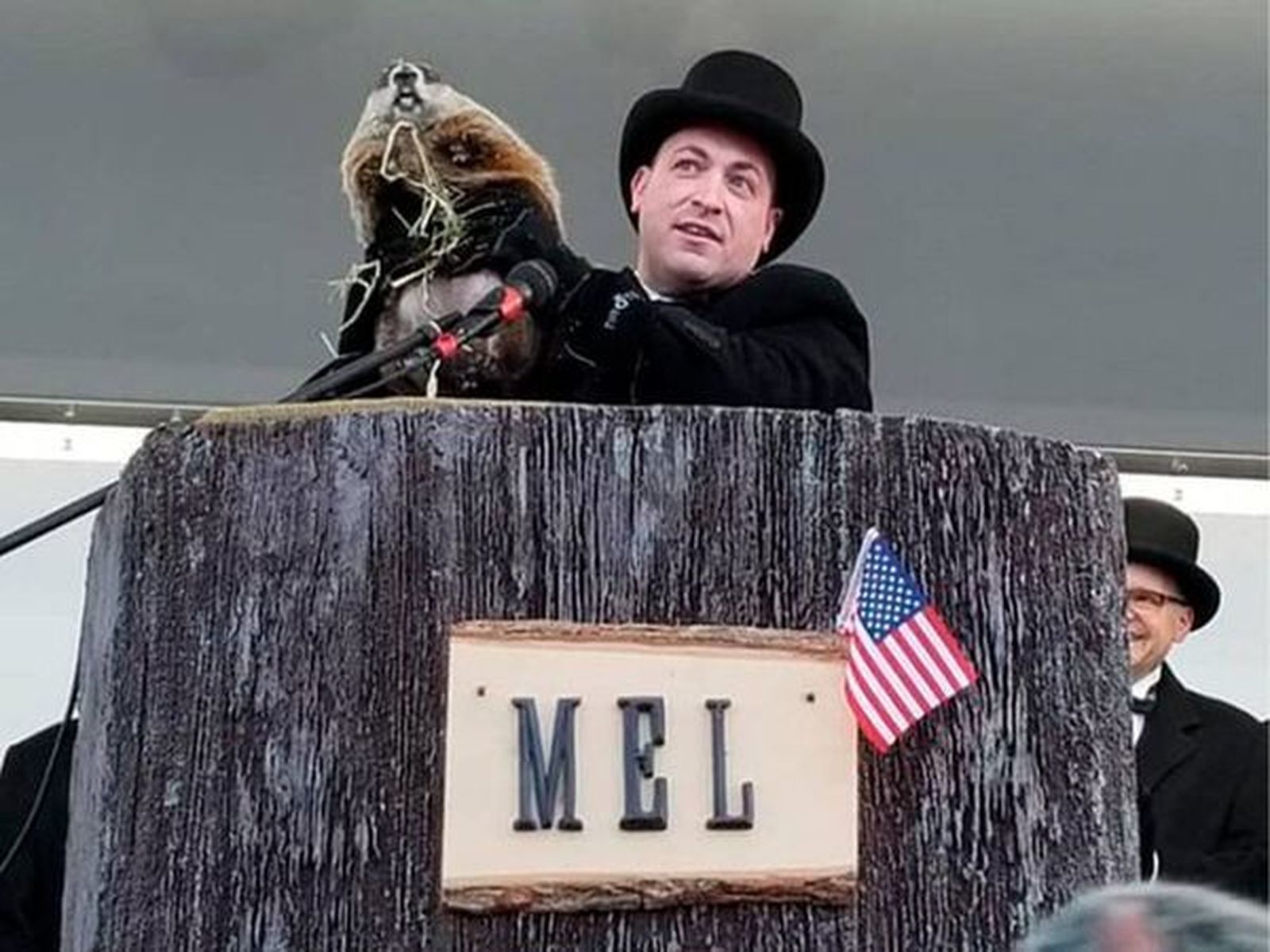 La marmota Mel