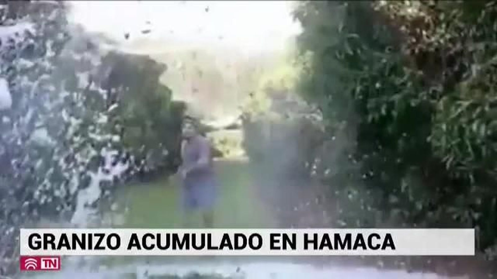 El Tiempo 24.11.2019