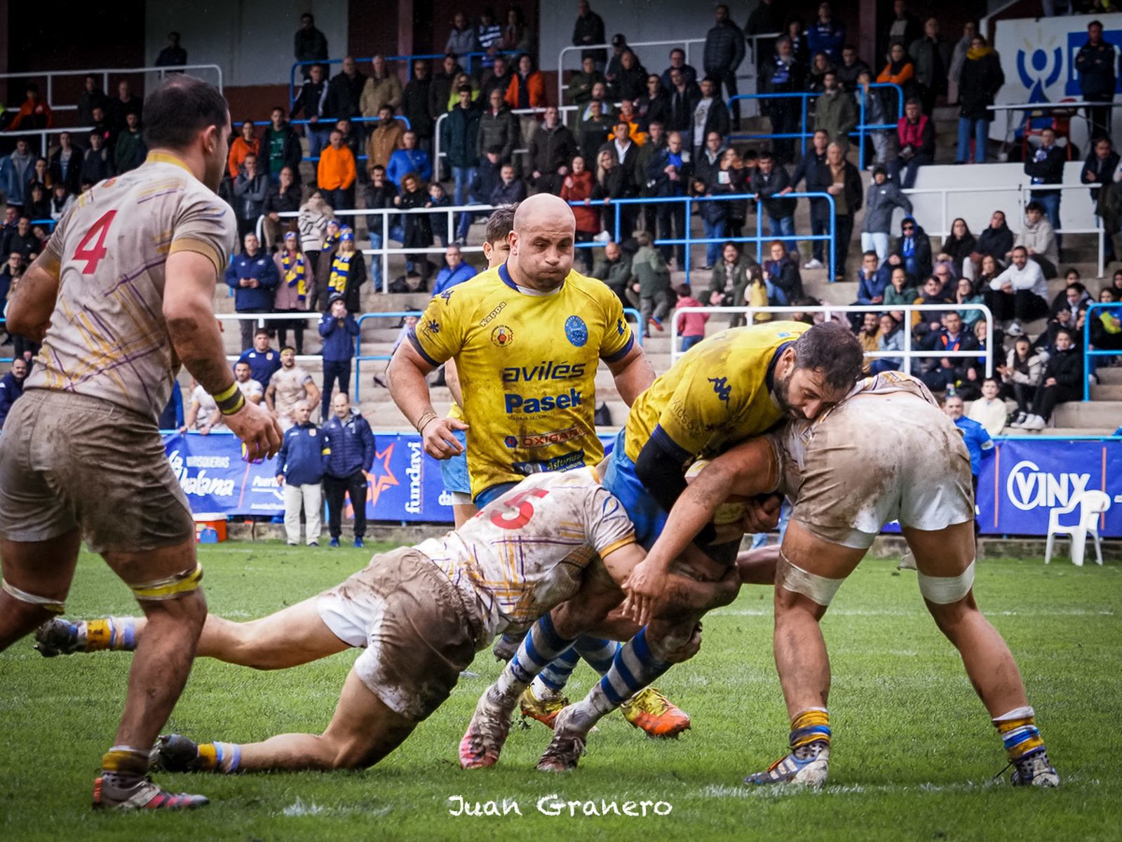 Pozuelo Rugby Unión