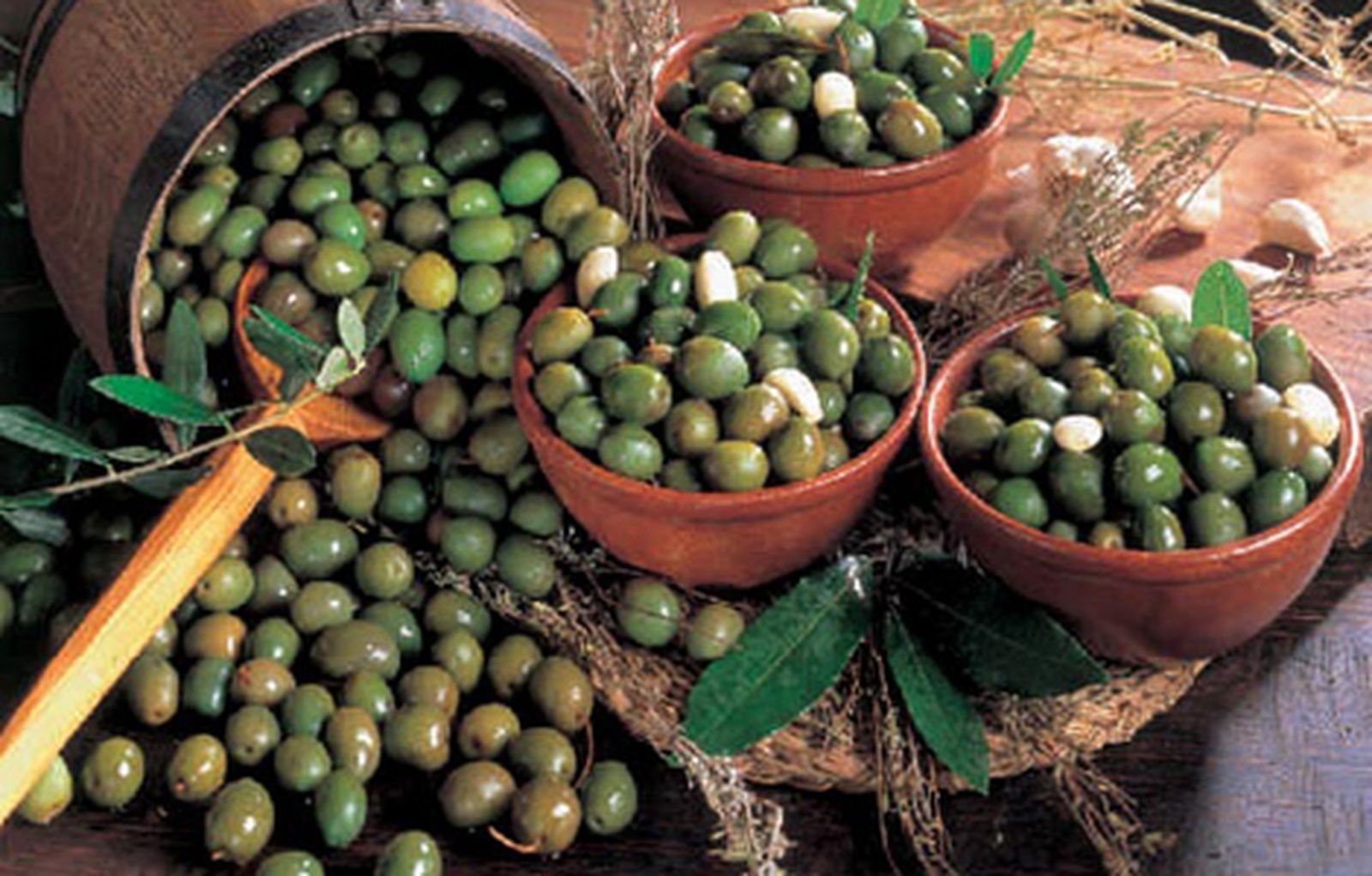 aceitunas_camporeal470