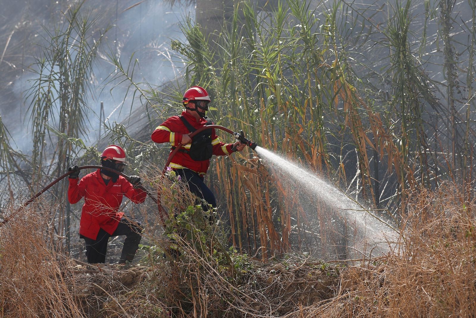 Bomberos portugueses luchando contra el fuego en el incendio del pasado 8 de agosto