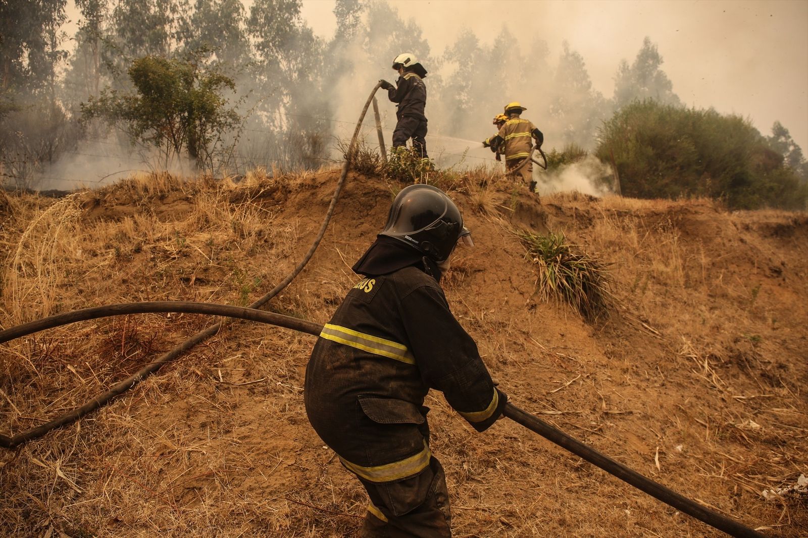 Chile detiene a 28 personas por los incendios que asolan el país