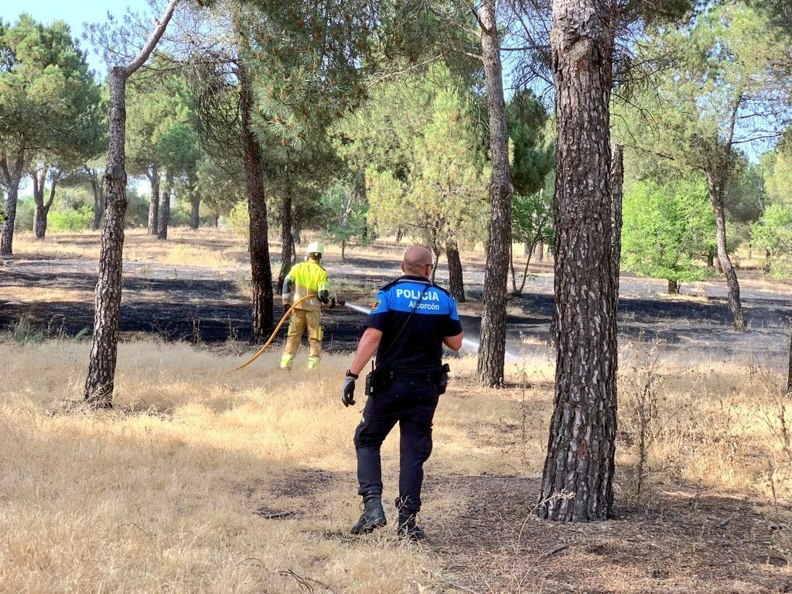 Incendio en el pinar de Las Presillas