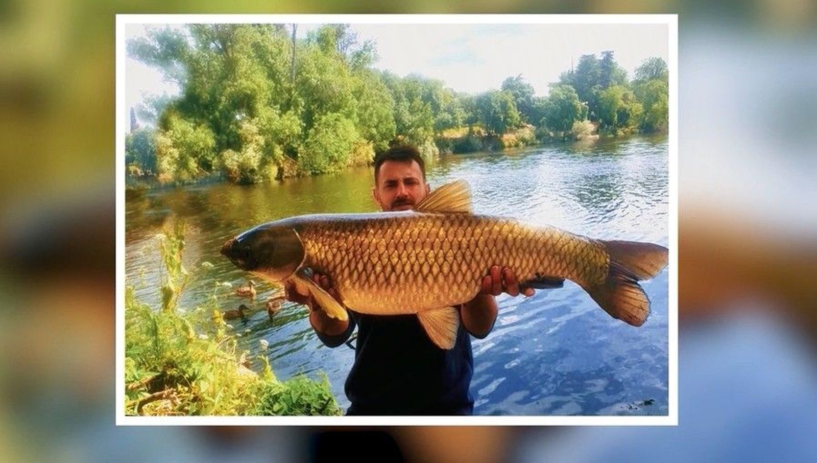 Un joven pesca una enorme carpa asiática de 16 kilos en Madrid